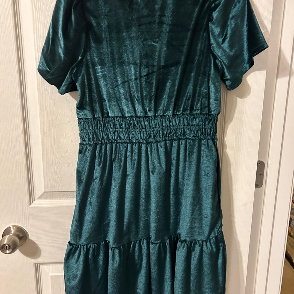 NWT Dark Green velvety dress - Picture 4 of 8